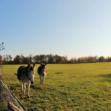 Bed & Breakfast La Maison De... Espiet
